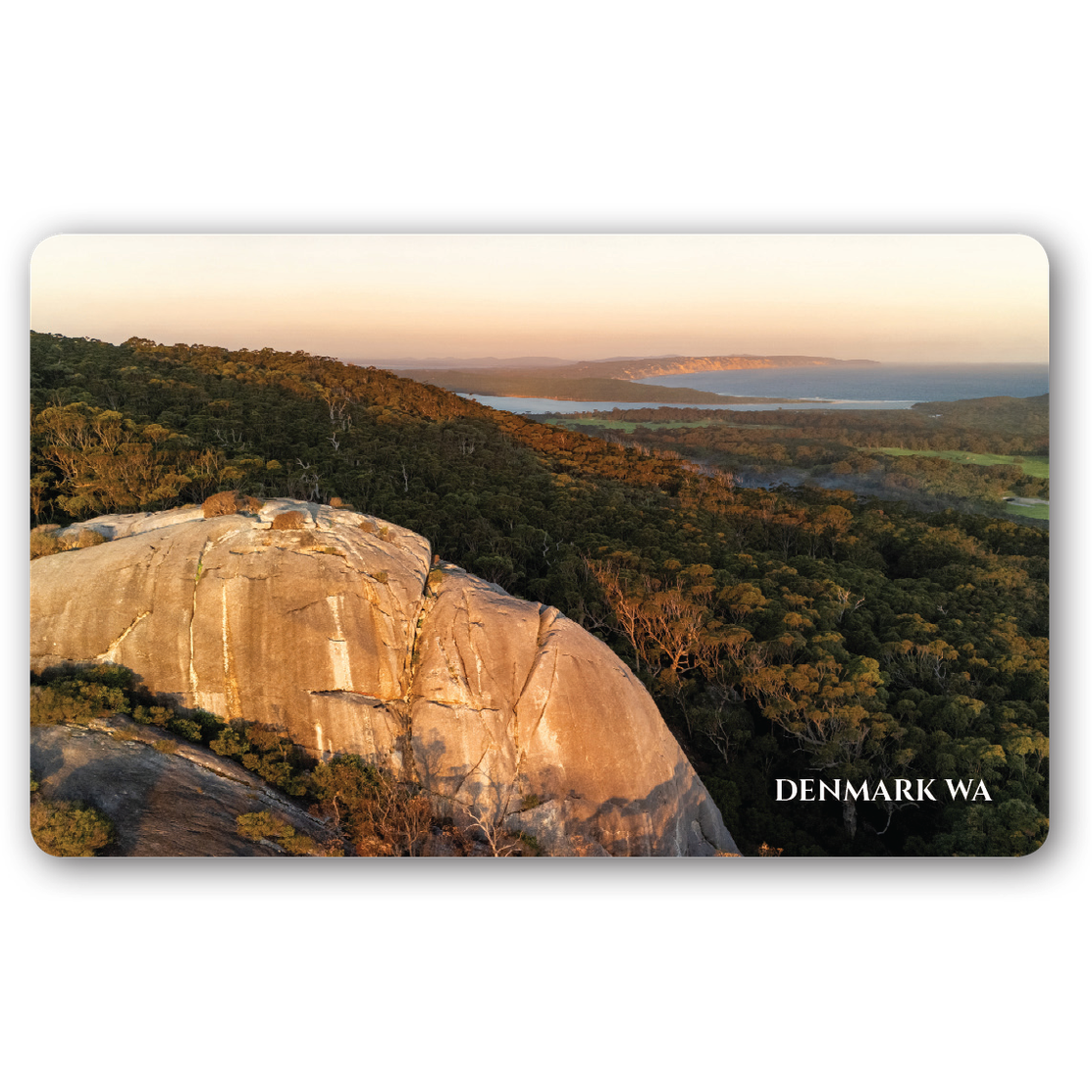 Monkey Rock magnet