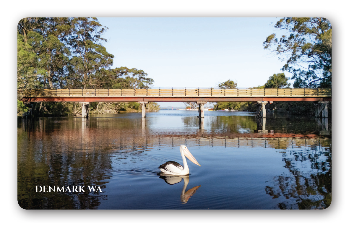 Denmark River with pelican Magnet