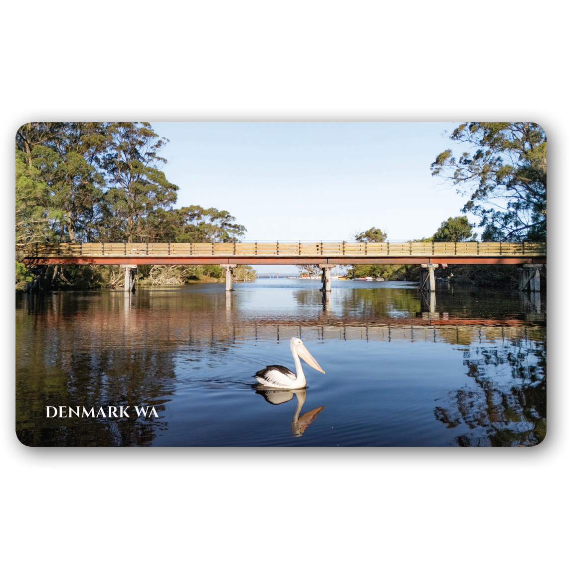 Denmark River with pelican Magnet