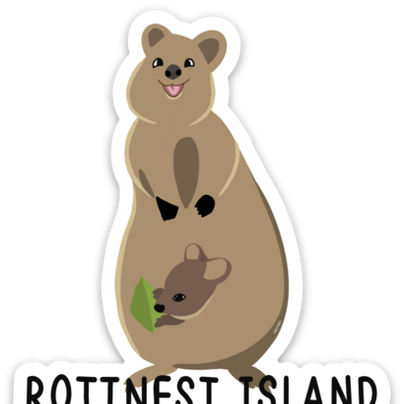Cartoon Quokka - Sticker
