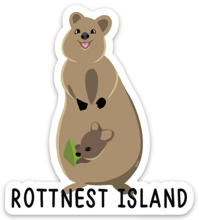 Cartoon Quokka - Sticker