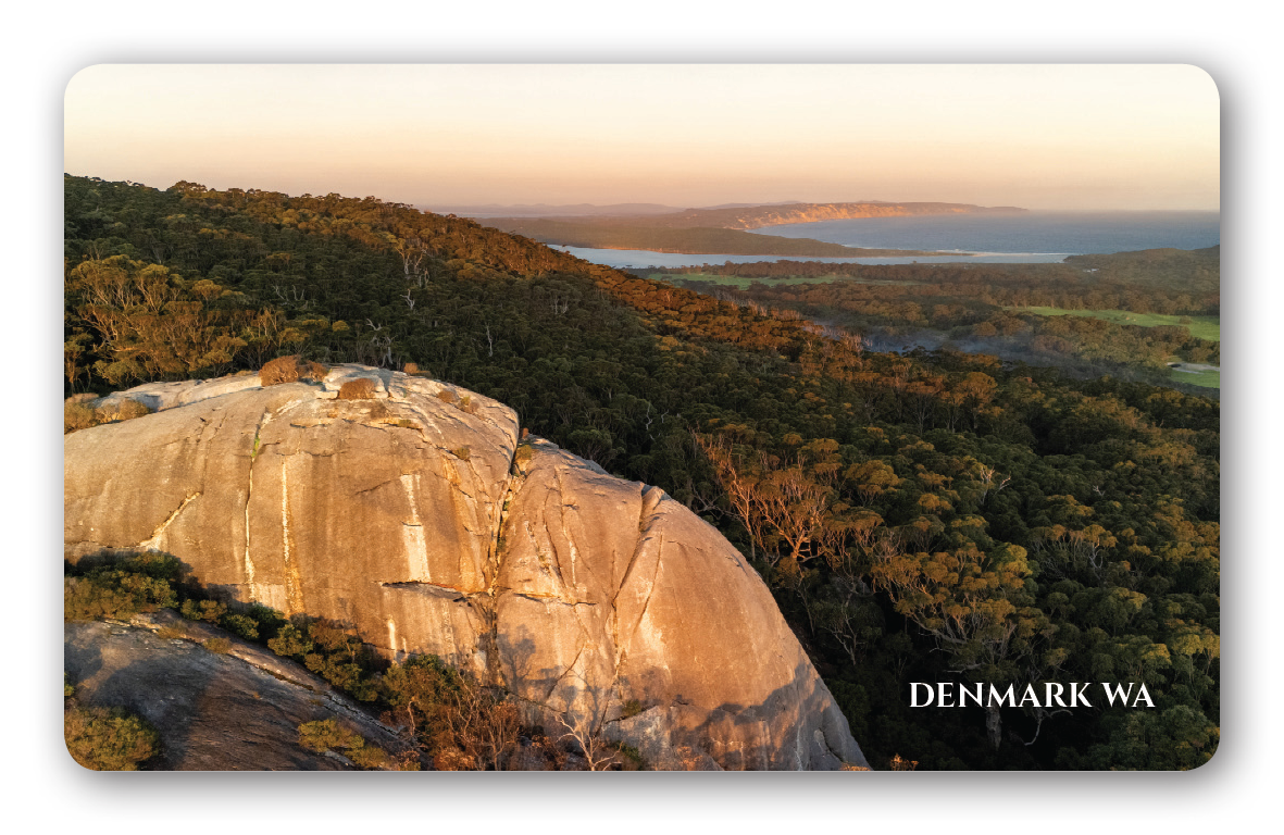 Monkey Rock magnet