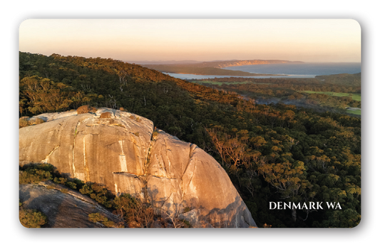 Monkey Rock magnet