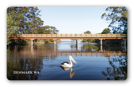 Denmark River with pelican Magnet